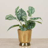 -Artificial Scindapsus Arrangement in Ceramic Vase-Bloomr