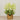 -Artificial Astilbe Arrangement in Ceramic Vase-Bloomr