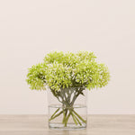 Allium Arrangement in Glass VaseBloomr