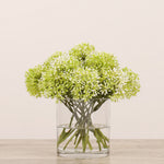 Allium Arrangement in Glass VaseBloomr