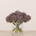 Allium Arrangement in Glass VaseBloomr