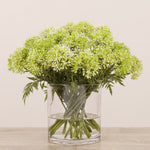 Allium Arrangement in Glass VaseBloomr