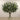 Floral Arrangement-Artificial Asclepias Arrangement in Glass Vase-Bloomr