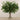 -Artificial Boxwood Arrangement in Glass Vase-Bloomr