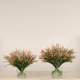 Trifolium Angustifolium Arrangement in Glass Vase