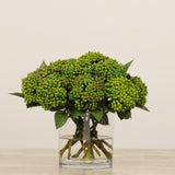 Sedum Arrangement in Glass Vase