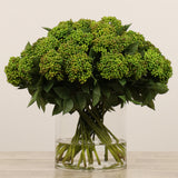 Sedum Arrangement in Glass Vase