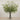 -Artificial Fern Arrangement in Glass Vase-Bloomr