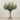 -Artificial Eucalyptus Spray Arrangement in Glass Vase-Bloomr