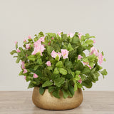 Artificial Petunia Arrangement