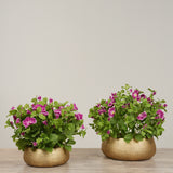 Artificial Petunia Arrangement