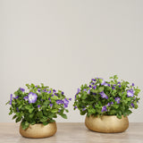 Artificial Petunia Arrangement