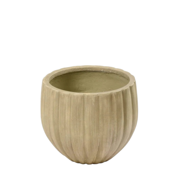 Small Round Ficonstone Tree Pot