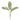 -Palm Spray-Bloomr