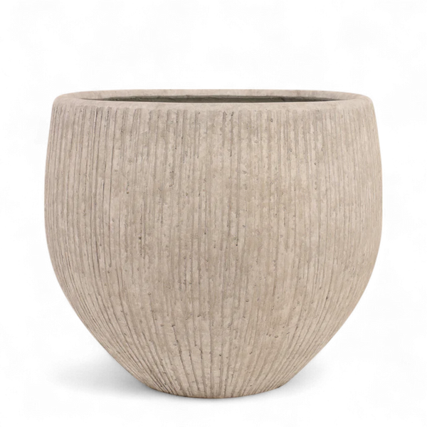 Round Ficonstone Tree Pot - Large