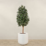 Artificial Olive Tree <br> 210cm