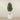 Trees-Artificial Olive Tree <br> 210cm-Bloomr