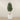 Trees-Artificial Olive Tree 210cm-Bloomr