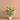 Trees-Artificial Areca Palm 90cm-Bloomr