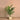 Trees-Artificial Areca Palm 120cm-Bloomr