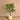 Trees-Artificial Areca Palm <br> 140cm-Bloomr