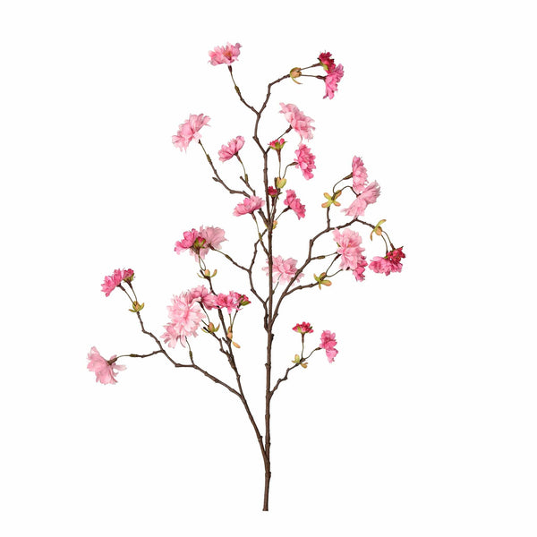 Cherry Blossom - Bloomr