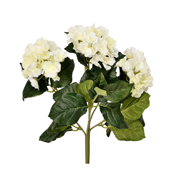 Hydrangea - Bloomr