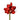 Flowers-Amaryllis-Bloomr