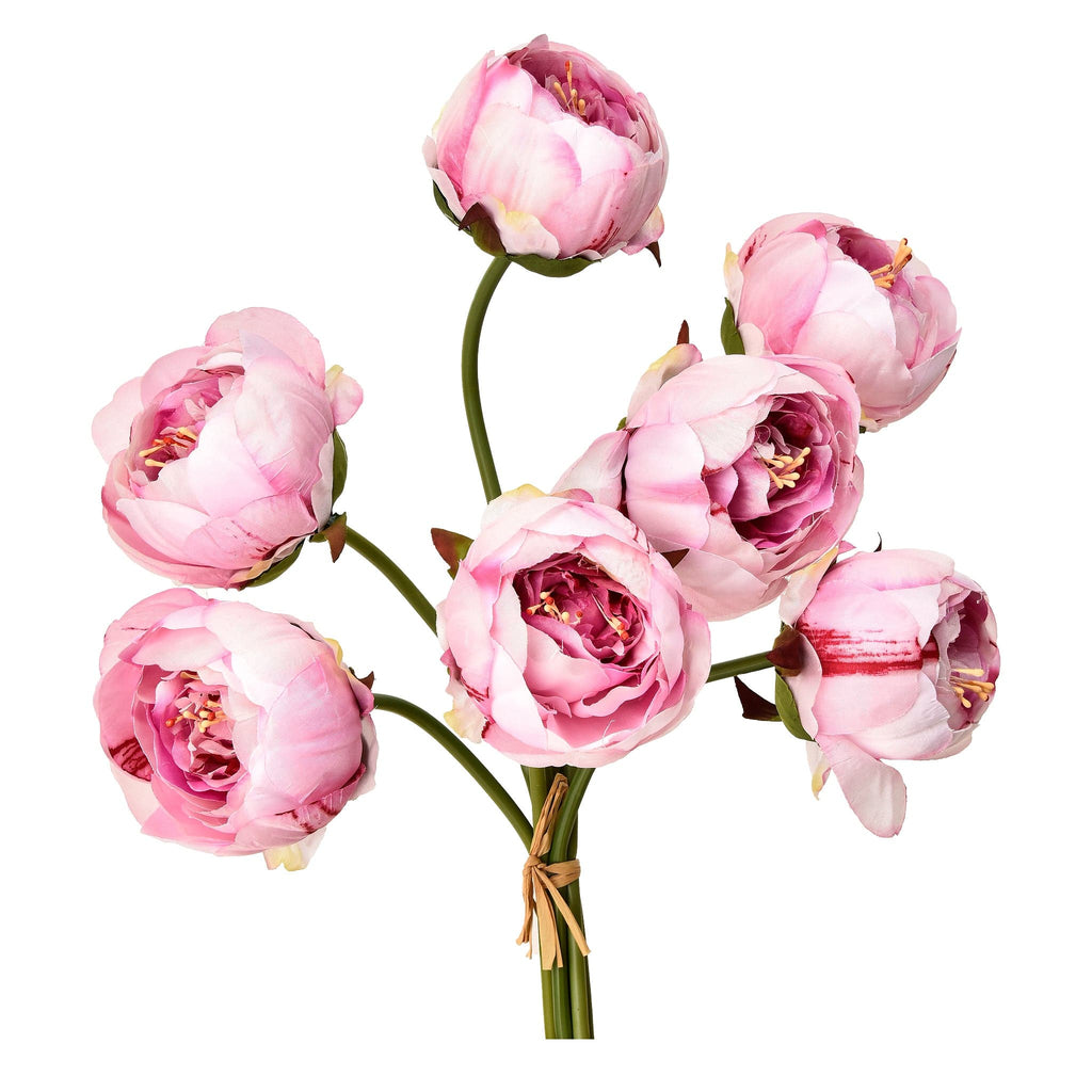 Peony - Bloomr