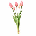 Flowers-Tulip-Bloomr