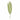 Plants-Palm Spray-Bloomr