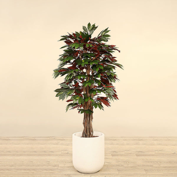 Artificial Capensia fig Tree <br> 150cm - Bloomr