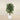 Trees-Artificial Coffee Tree 150cm-Bloomr
