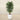 Trees-Artificial Coffee Tree 180cm-Bloomr