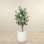 Artificial Ficus Tree <br> 120cm - Bloomr