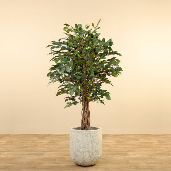 Artificial Ficus Tree  <br> 180cm - Bloomr