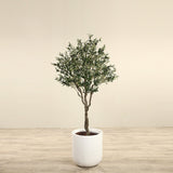 Artificial Olive Tree <br> 200cm - Bloomr