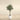 Trees-Artificial Olive Tree 200cm-Bloomr