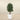 Trees-Artificial Panda Ficus Tree 120cm-Bloomr