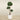 Trees-Artificial Panda Ficus Tree 180cm-Bloomr