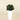 Trees-Artificial Panda Ficus Tree 75cm-Bloomr