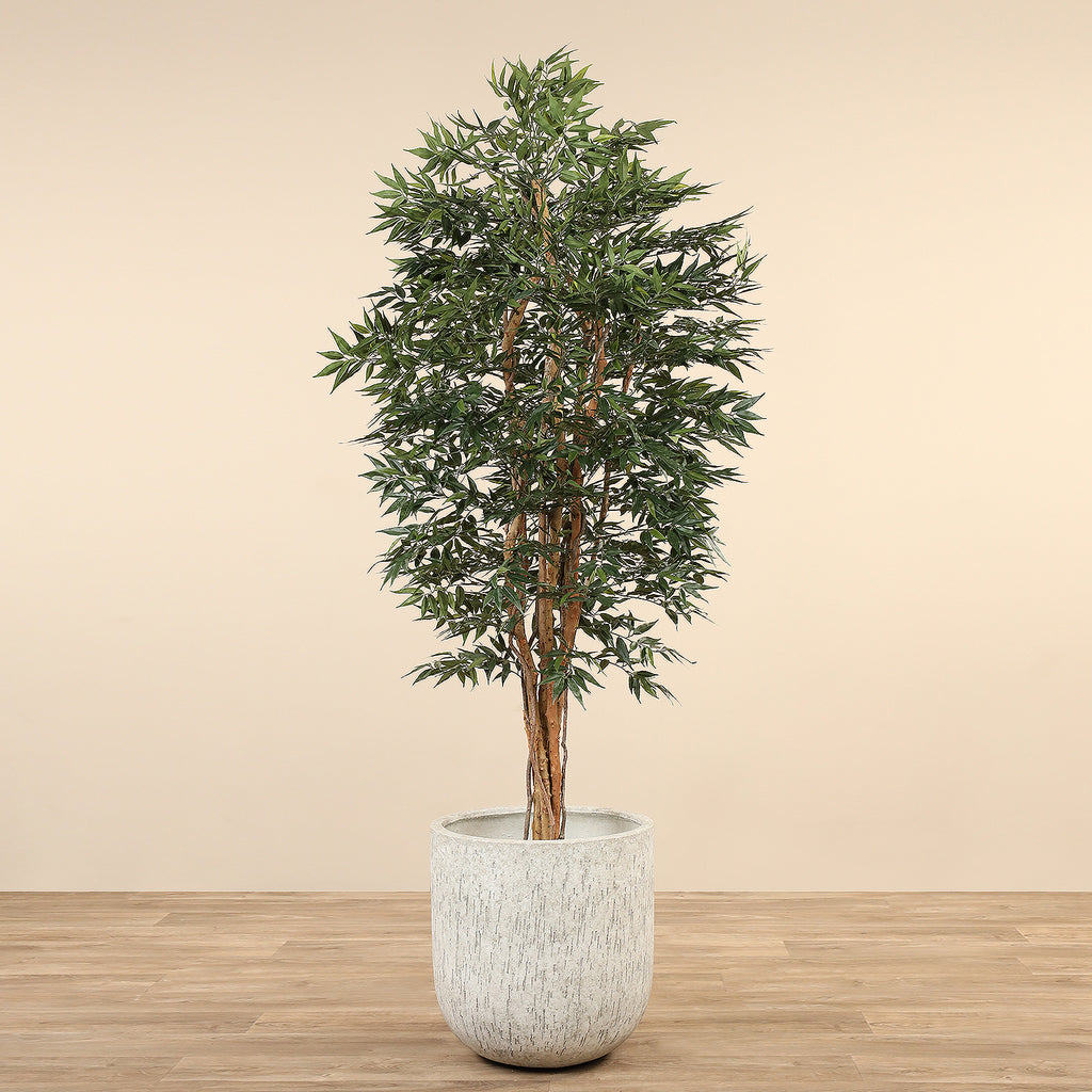 Artificial Shirakashi Tree <br>210cm - Bloomr