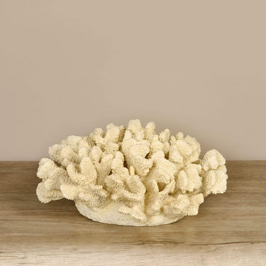 Accessories-Coral-Bloomr