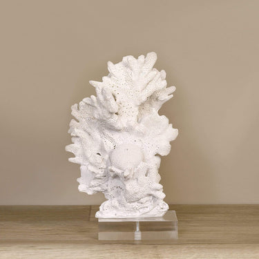 Accessories-Coral Bookend on Acrylic-Bloomr