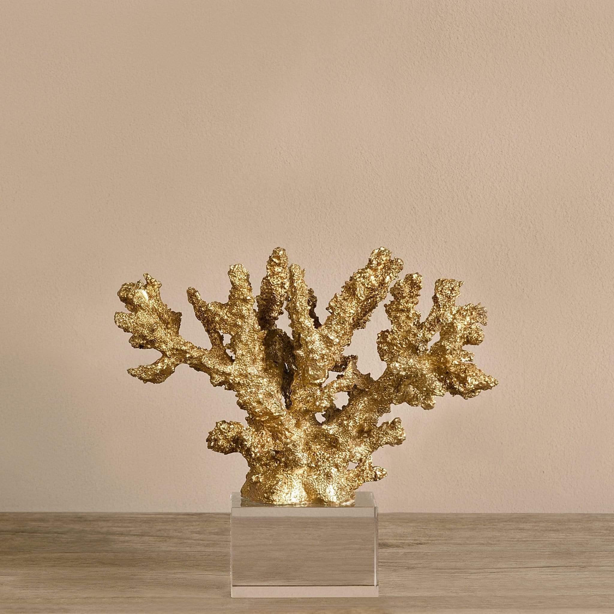 Coral Decoration - Bloomr