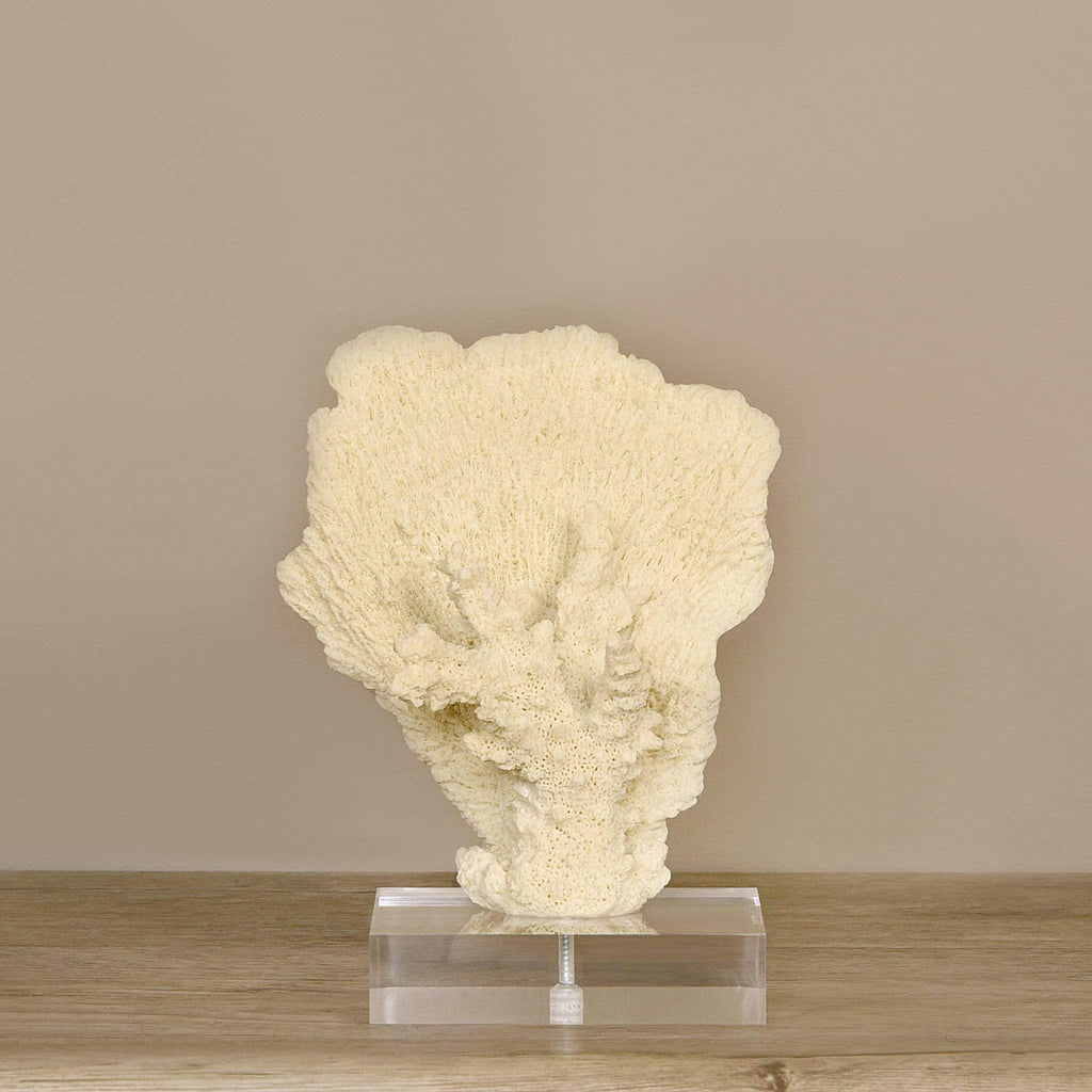 Coral with Acrylic - Bloomr