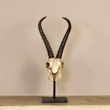 Goat Skull with Stand - Bloomr