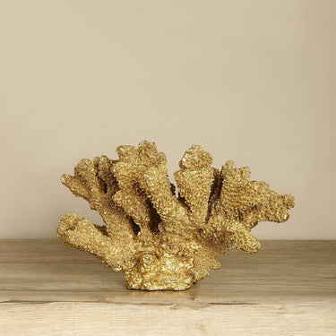 Accessories-Coral Décor-Bloomr
