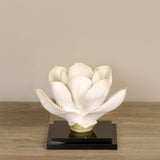 Magnolia with Acrylic - Bloomr