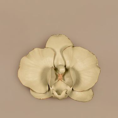 Accessories-Orchid Wall Decor-Bloomr